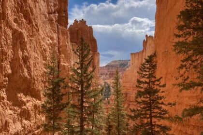 Bryce Canyon