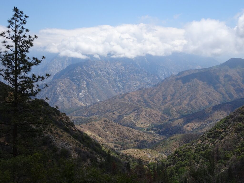 Kings Canyon National Park